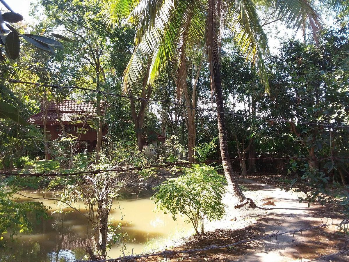Your Home In Mae Rim Ban Muang Pha Exterior foto